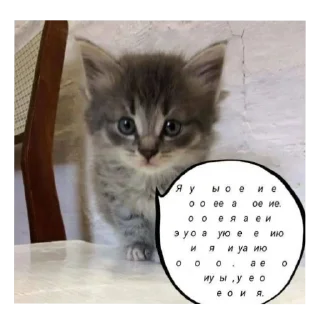 Sticker АНАНАНАС - 7