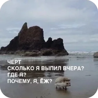 Sticker Абубабе - 5
