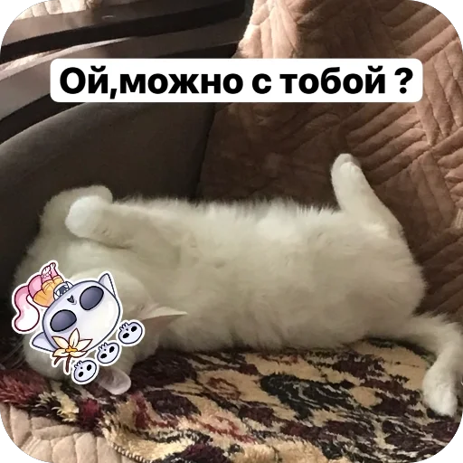 Альфа Альфа -