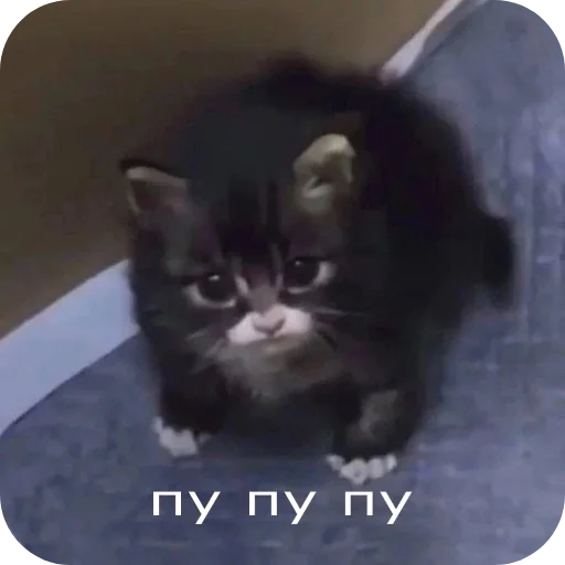 Аля улю Аля улю -