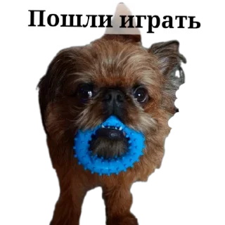 Sticker Банда гриффонов и брабансонов Петербурга - 0