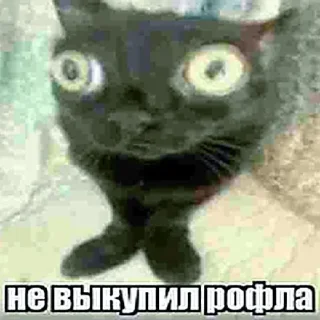 Sticker ЧВК Ебучий Группа Смелючих - 4