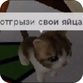 Стикер Ээ..Хз - 0