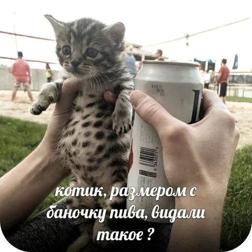Хз не играл Хз не играл -