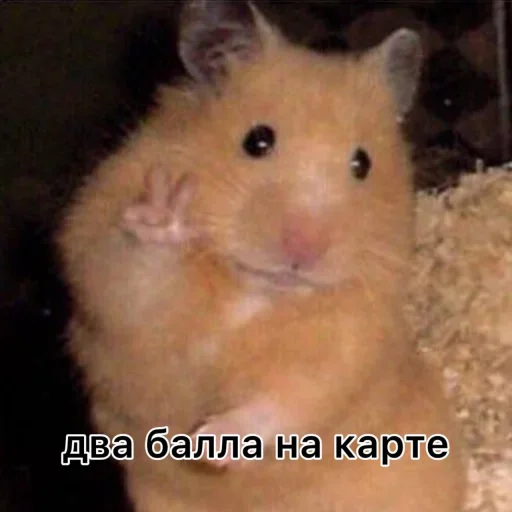 Лавка Чудес✨@LavkaChudoBot Лавка Чудес✨@LavkaChudoBot -
