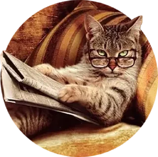Sticker ПиЧатик - 6