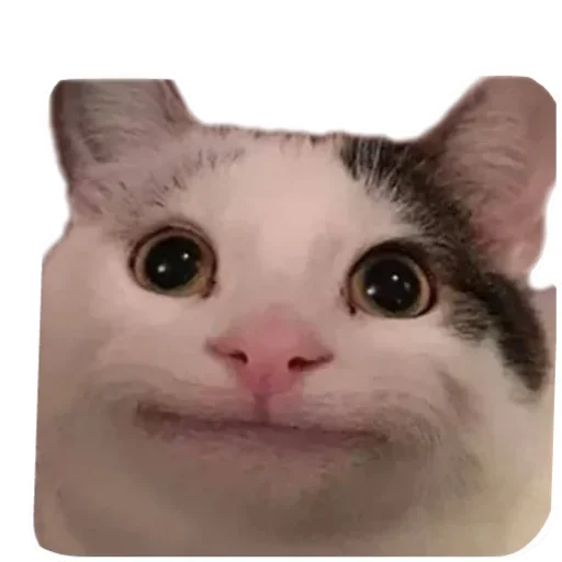 Мемы мемы Мемы мемы -
