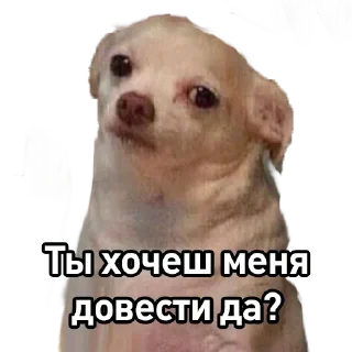 Sticker Мои стики - 0