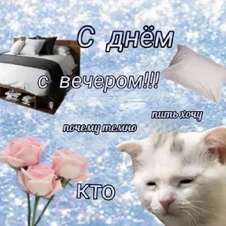 Sticker Котеки - 0