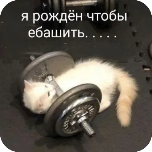 Ну там это Ну там это -