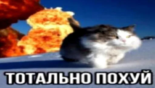 Мемы от @Mistish_i Мемы от @Mistish_i -