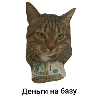 Стикер Томасяка - 2 Стикер Томасяка - 2