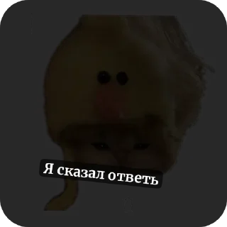 Стикер Котики и собачки - 0