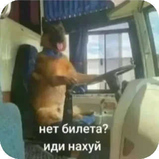 Стикер копировал - пидор @kulguy1488 - 5