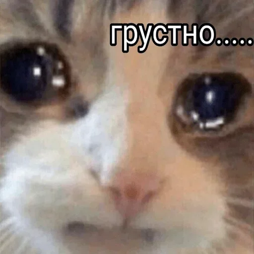 Больше @sbornik_emoji Больше @sbornik_emoji -