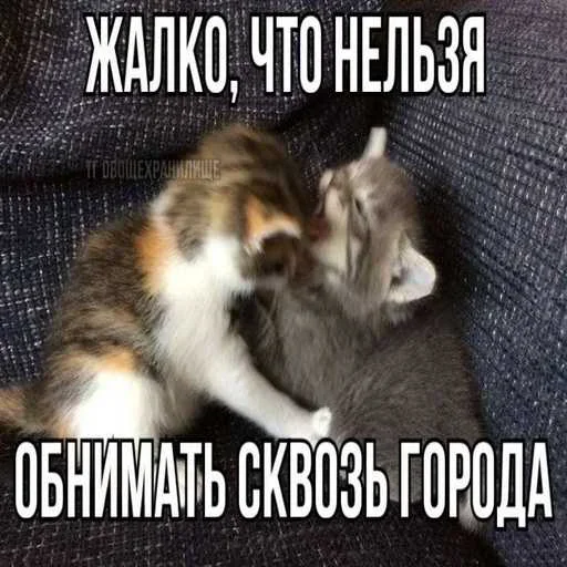 Больше стиков тут: @stikery4 Больше стиков тут: @stikery4 -
