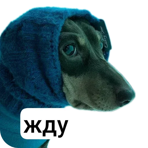 Больше стиков тут: @stikery4 Больше стиков тут: @stikery4 -