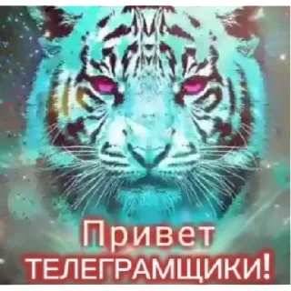 Стикер t.me/VaaxXyii | via sticked.app - 0