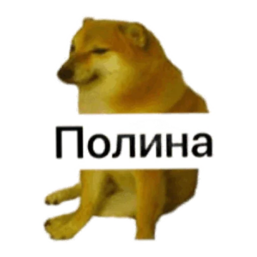 Черный ветеринарный юмор от @polavavilova Черный ветеринарный юмор от @polavavilova -