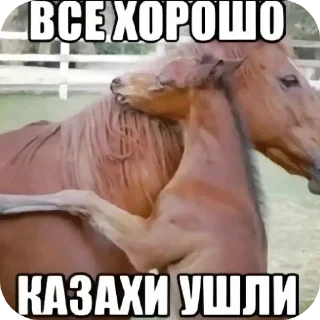 Стикер сво - 0