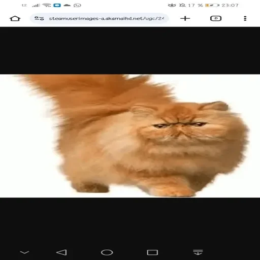 Хз by @EmojiRy_Bot Хз by @EmojiRy_Bot -