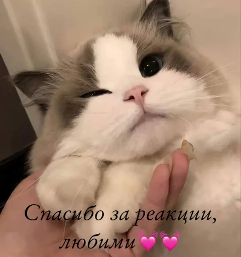 Создать стикеры|@EmojiRuBot Создать стикеры|@EmojiRuBot -