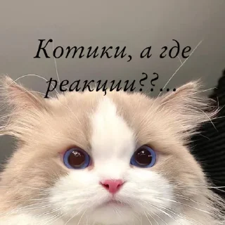 Стикер Создать стикеры|@EmojiRuBot - 0