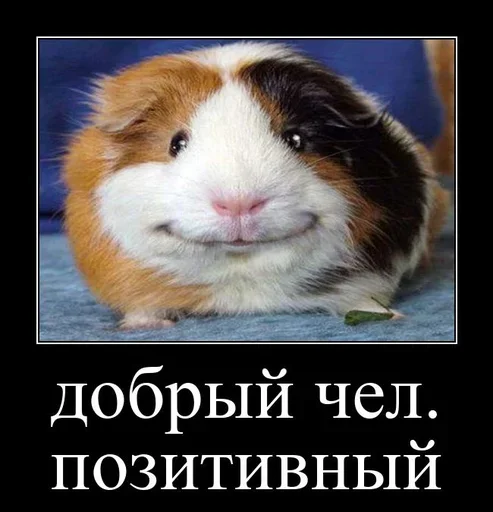 Больше стиков тут: @stikery4 Больше стиков тут: @stikery4 -
