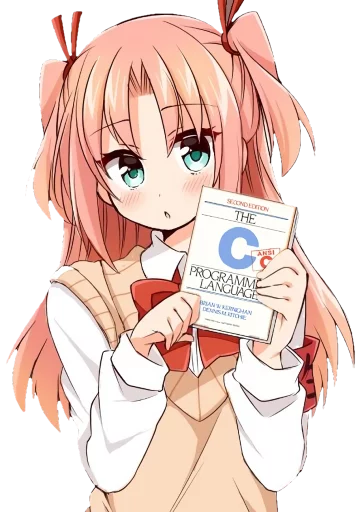 every day an anime girl holding programming books AnimeGirlDev  Twitter