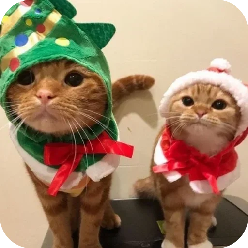 Больше стиков тут: @stikery4 Больше стиков тут: @stikery4 -