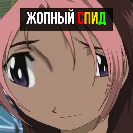 ANIMEMS ANIMEMS -