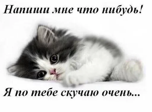 Стикеры👉 @stikeru7777 Стикеры👉 @stikeru7777 -