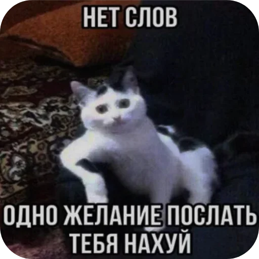 Больше стиков тут: @stikery4 Больше стиков тут: @stikery4 -