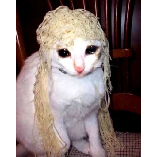 Абоба Абоба -