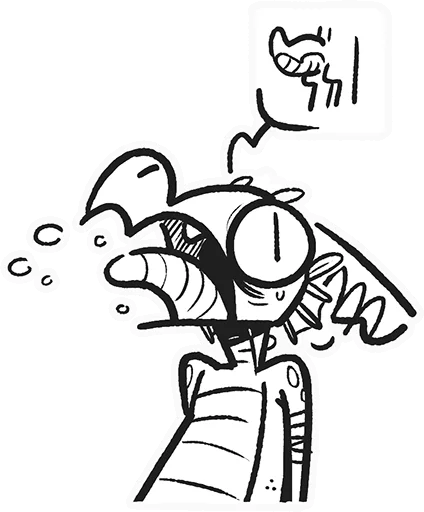 Adorabold Adorabold -