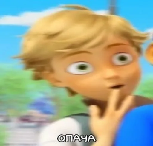 ОПАЧА ОПАЧА -