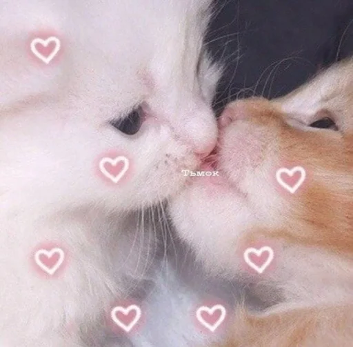 ♡~♡ :: @fStikBot ♡~♡ :: @fStikBot - животное