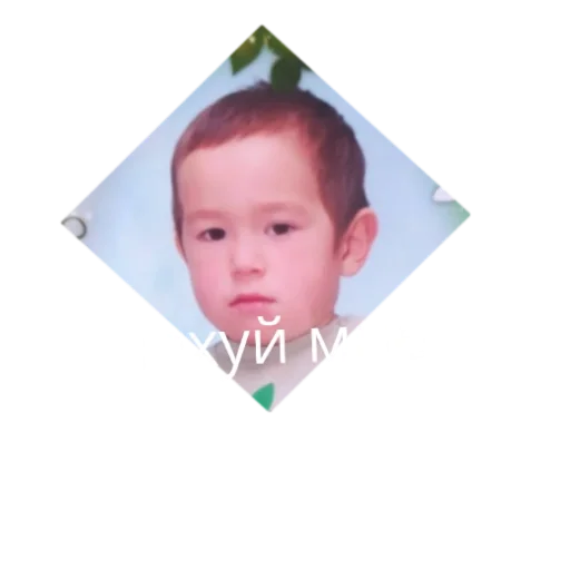 Айнур Айнур -