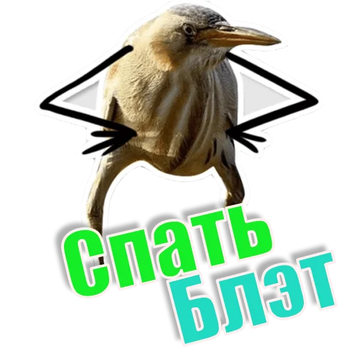 Спать_БлЭТ Спать_БлЭТ -