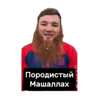 Sticker Альхамдулиллях - 4