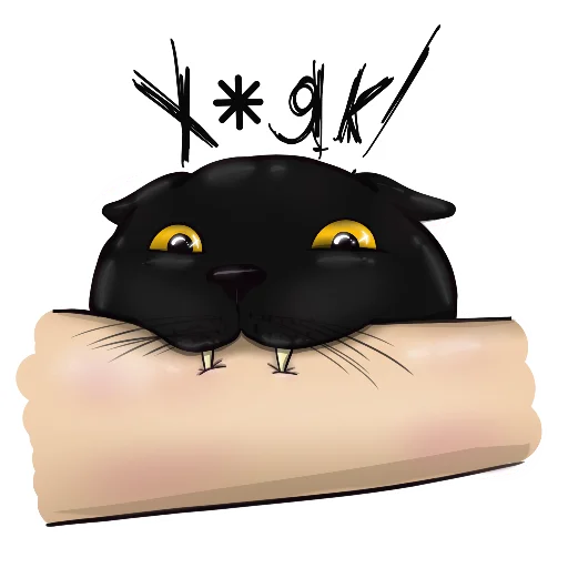 Alister the cat Alister the cat -