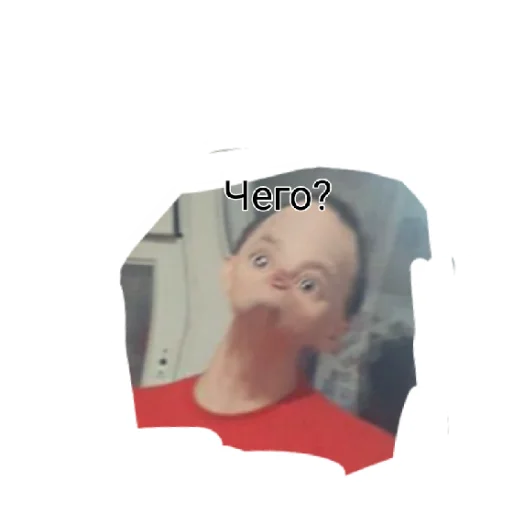Амелич Амелич -