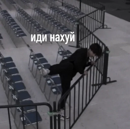 обувь обувь млекопитающее одежда