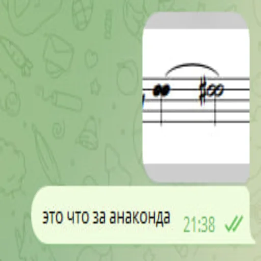 anakondasasssst anakondasasssst -
