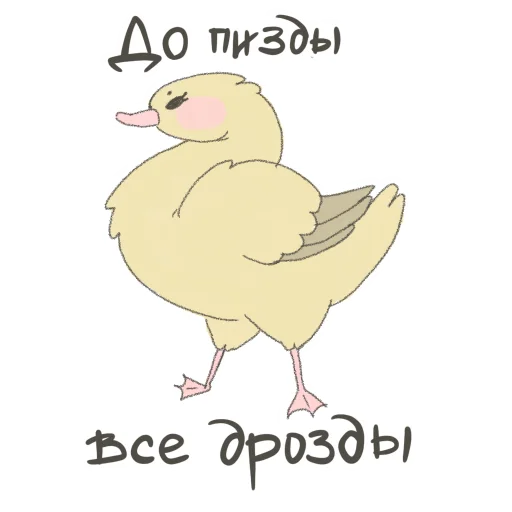 Angry but cutie Angry but cutie -