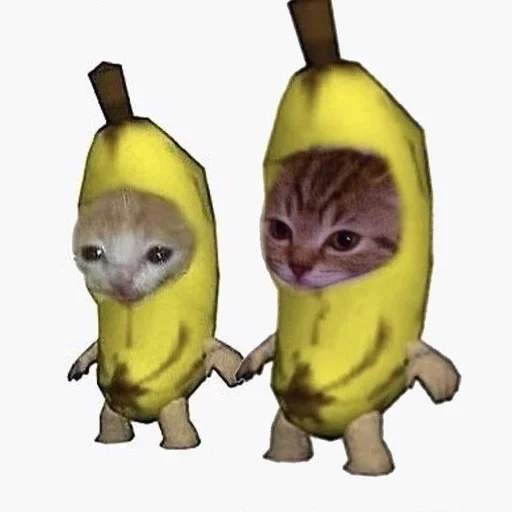 Kitty_Cat :: @fStikBot Kitty_Cat :: @fStikBot -
