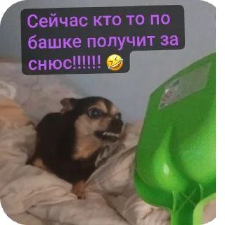 Sticker Анонимусы либо снюсоеды. Квд говно!!!!!!!!!! 💩💩 - 4 Sticker Анонимусы либо снюсоеды. Квд говно!!!!!!!!!! 💩💩 - 4