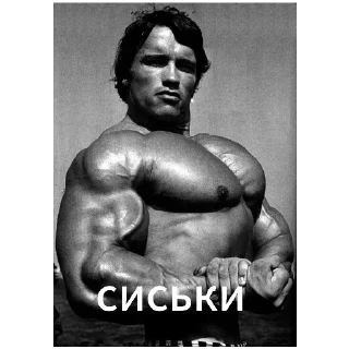 Стикер Arnold Schwarzenegger - 0