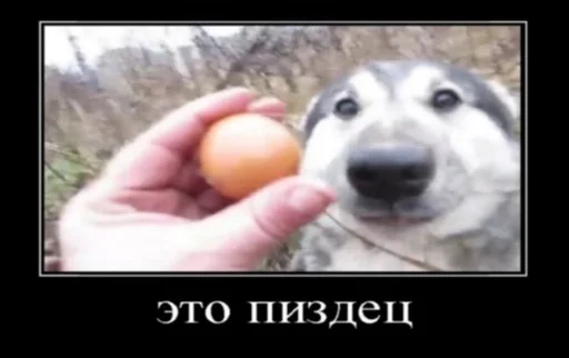 Ахуенный Сашка by @fStikBot Ахуенный Сашка by @fStikBot -