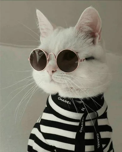 ᎪᏚᎬᎷᎪ :: @fStikBot ᎪᏚᎬᎷᎪ :: @fStikBot -